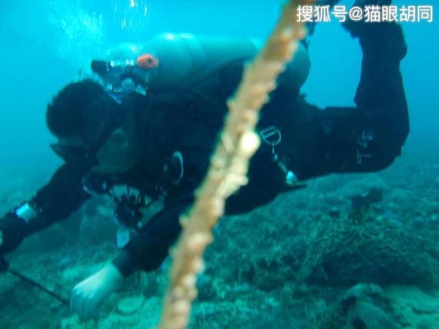 迷你高尔夫大挑战